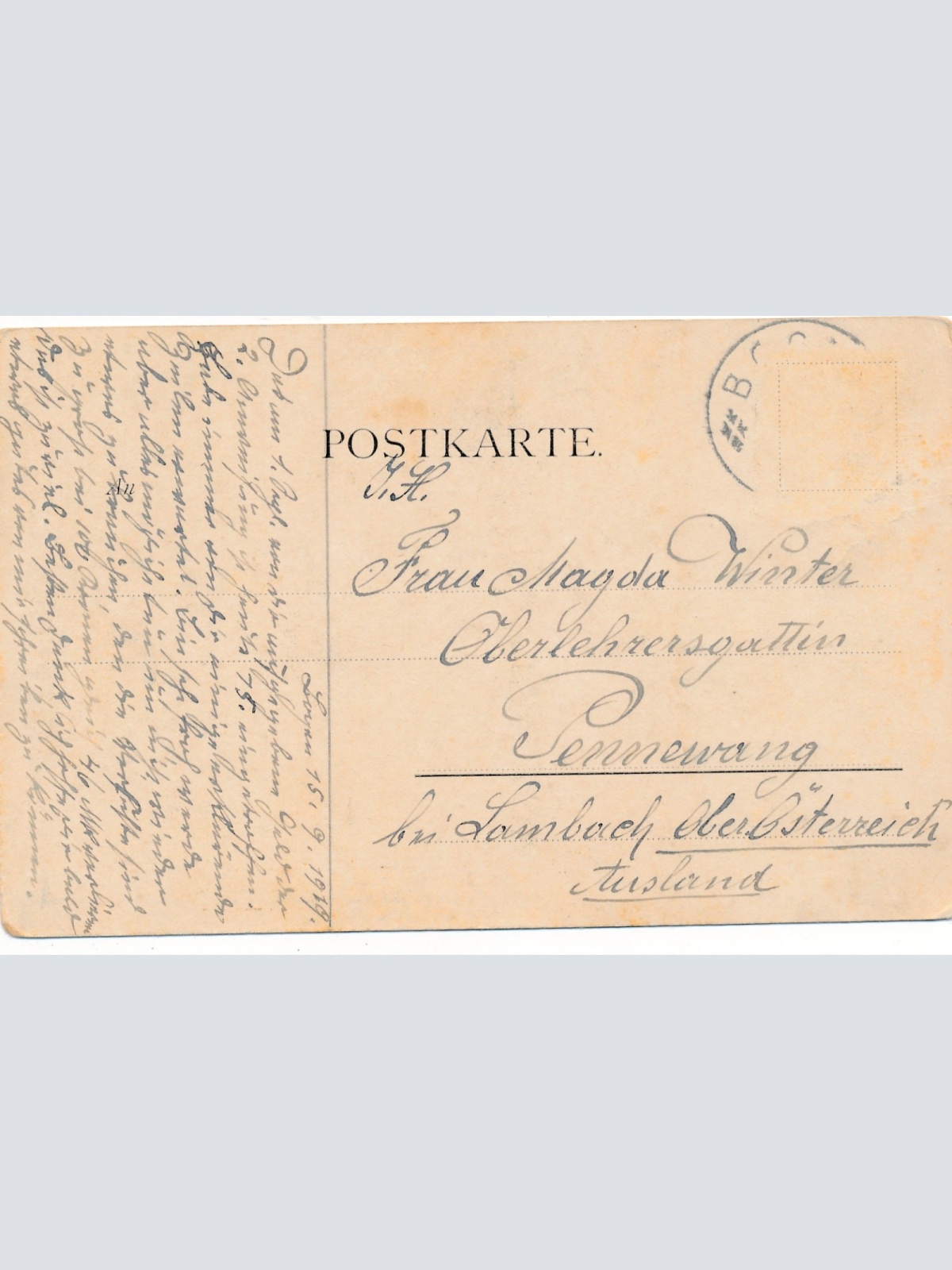 AK Katzenkonzert Katzen mit Instrumenten Ansichtskarte (16930)