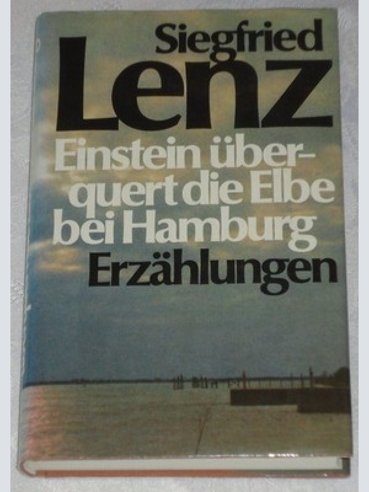 Einstein überquert die Elbe bei Hamburg - Erzählungen
