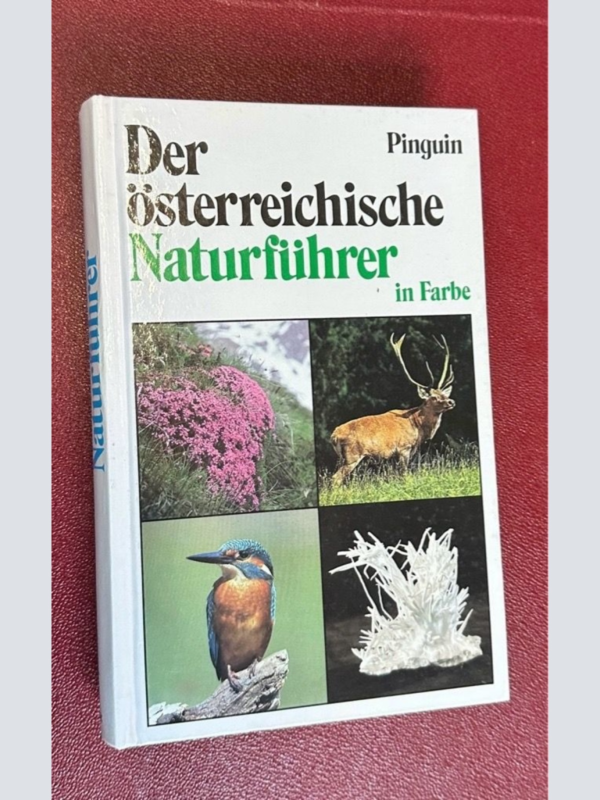 Der österreichische Naturführer in Farbe in Farbe Eberhard Stüber: