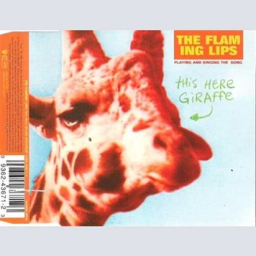 CD, Single The Flaming Lips - This Here Giraffe