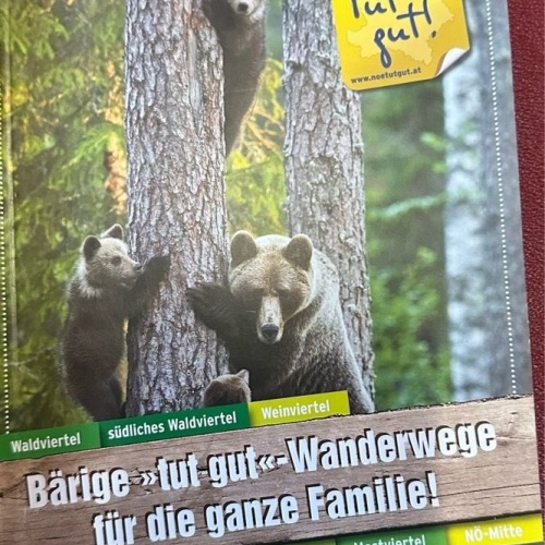 Bärige 'tut-gut'-Wanderwege für die ganze Familie NÖ Gesundheits- und Sozialfond