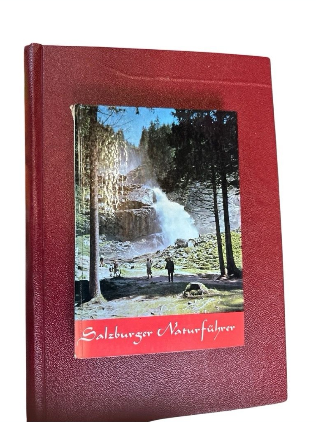 Salzburger Naturführer. Einführung in Landschaft und Natur. Stüber, Eberhard, A.