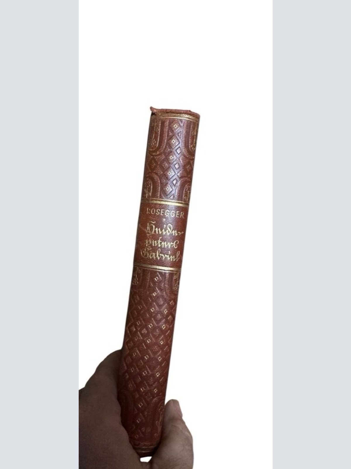 Heidepeters Gabriel / Rosegger Eine Gesch. aus d. Steiermark Rosegger  Peter und