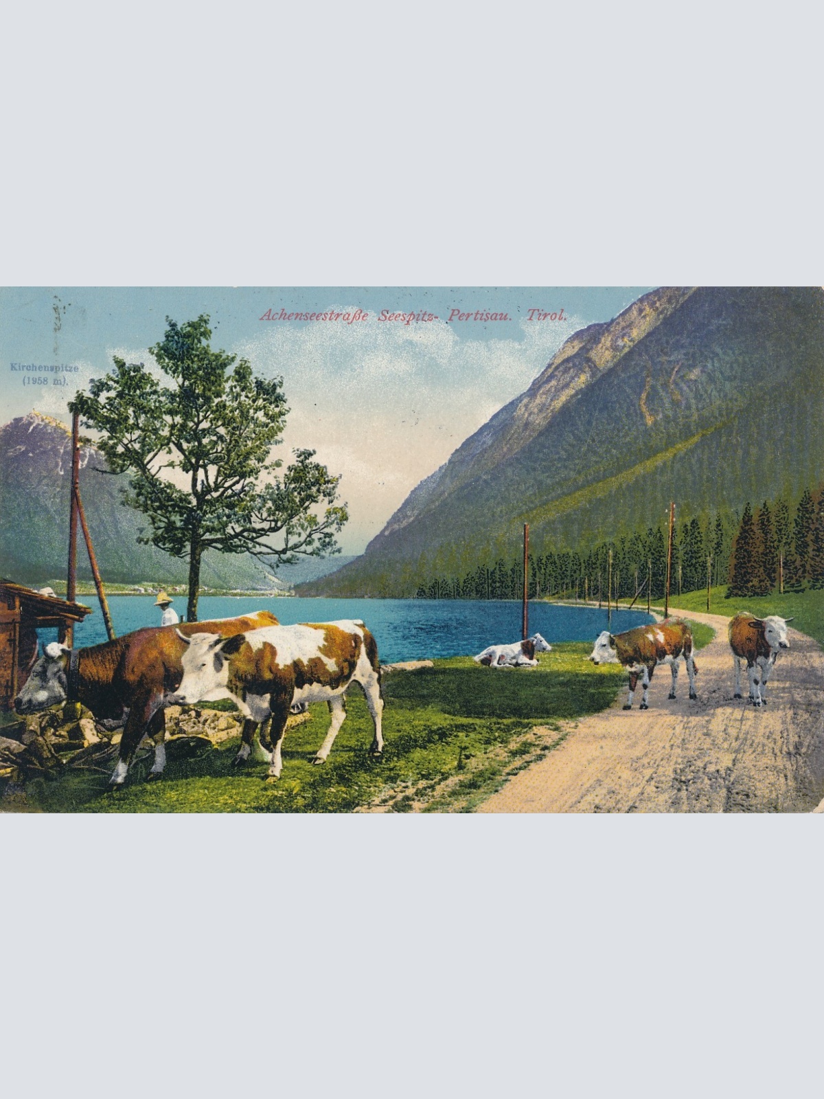 AK aus Pertisau Tirol Ansichtskarte (17384)