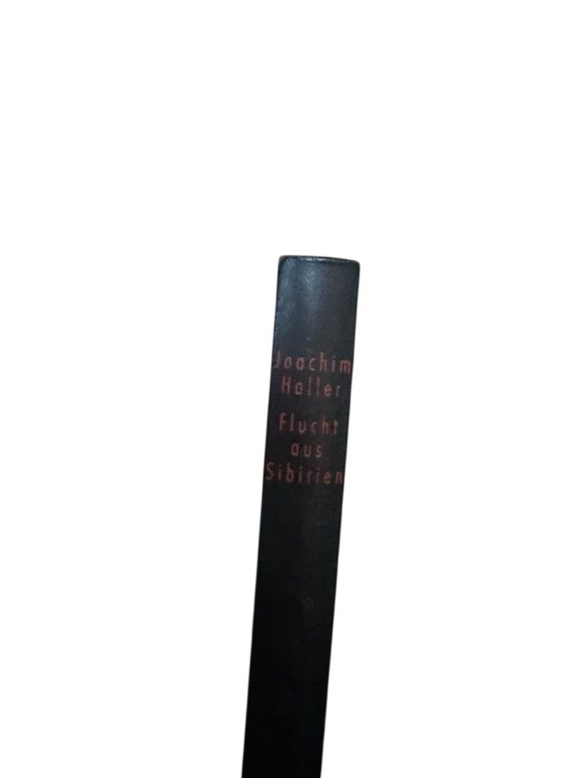 Flucht aus Sibirien Haller, Joachim: