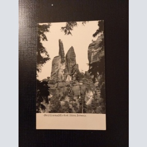 Brosinnadel Hint Sächs.Schweiz 180206 GR