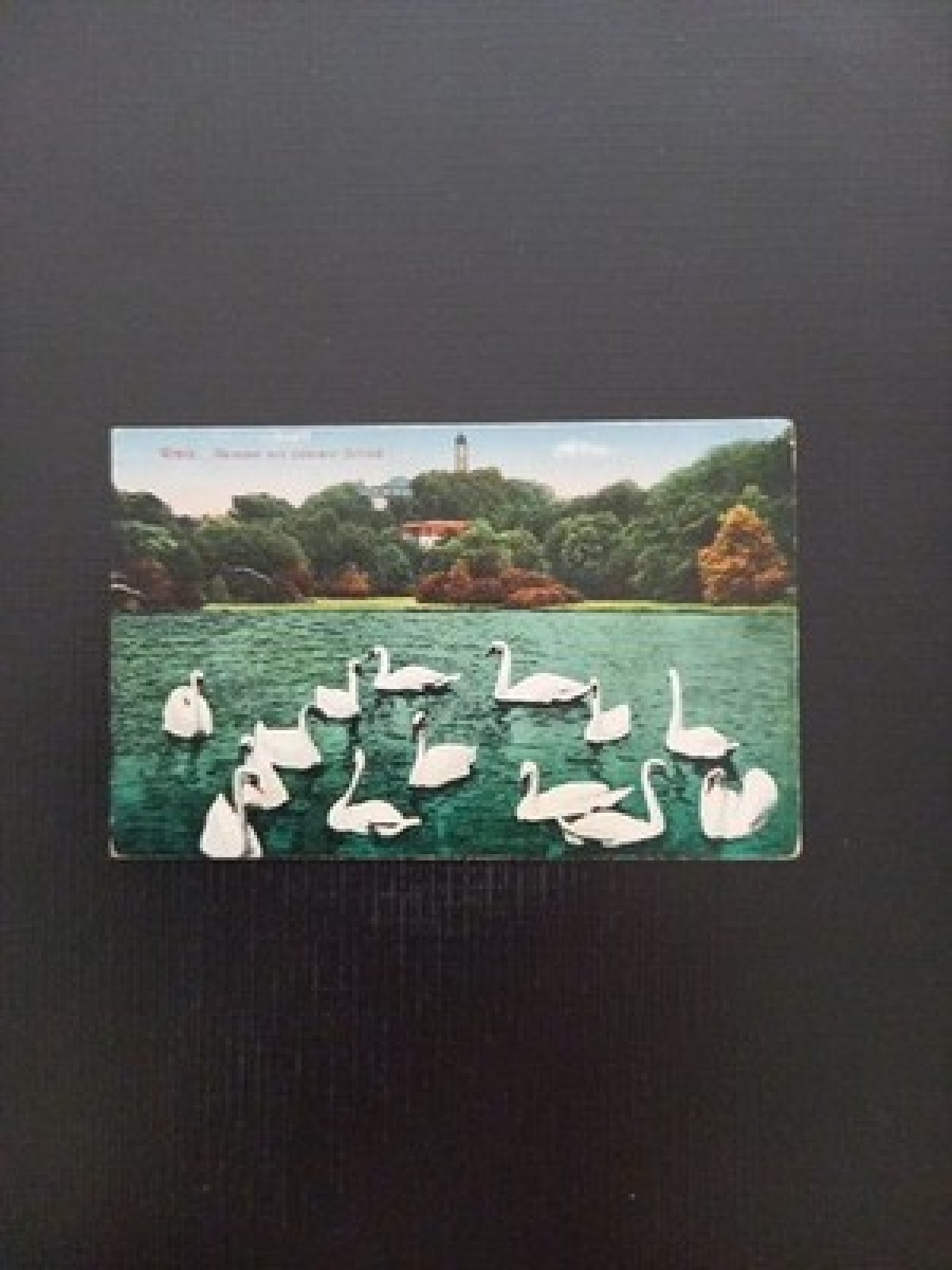 Greiz Parksee Mit Schwänen 410402 Gr