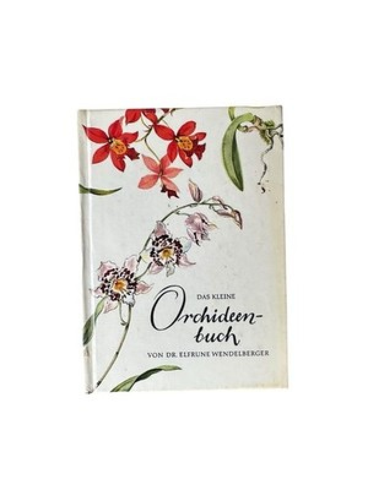 Das kleine Orchideenbuch WENDELBERGER, Elfrune: