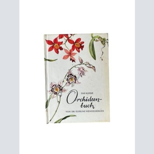 Das kleine Orchideenbuch WENDELBERGER, Elfrune: