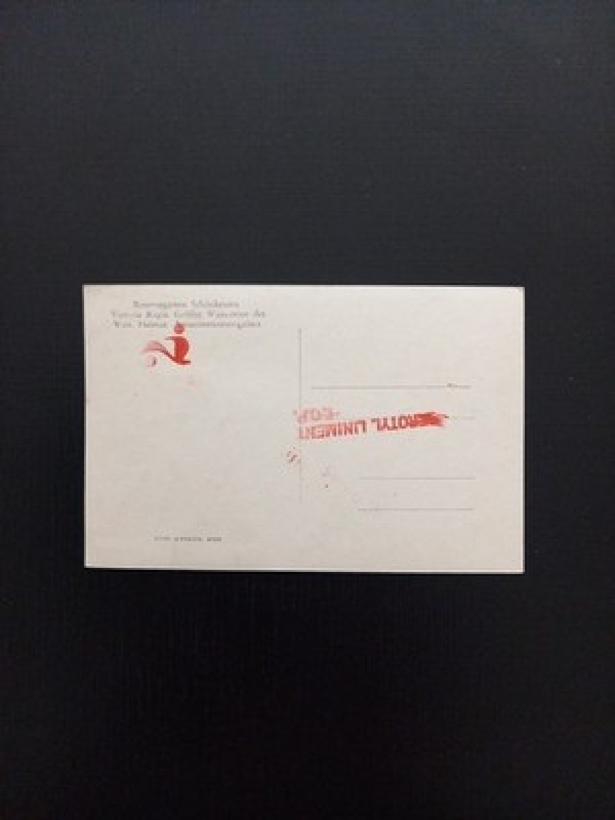 Reservegarten Schönbrunn Wien 400278 Gr