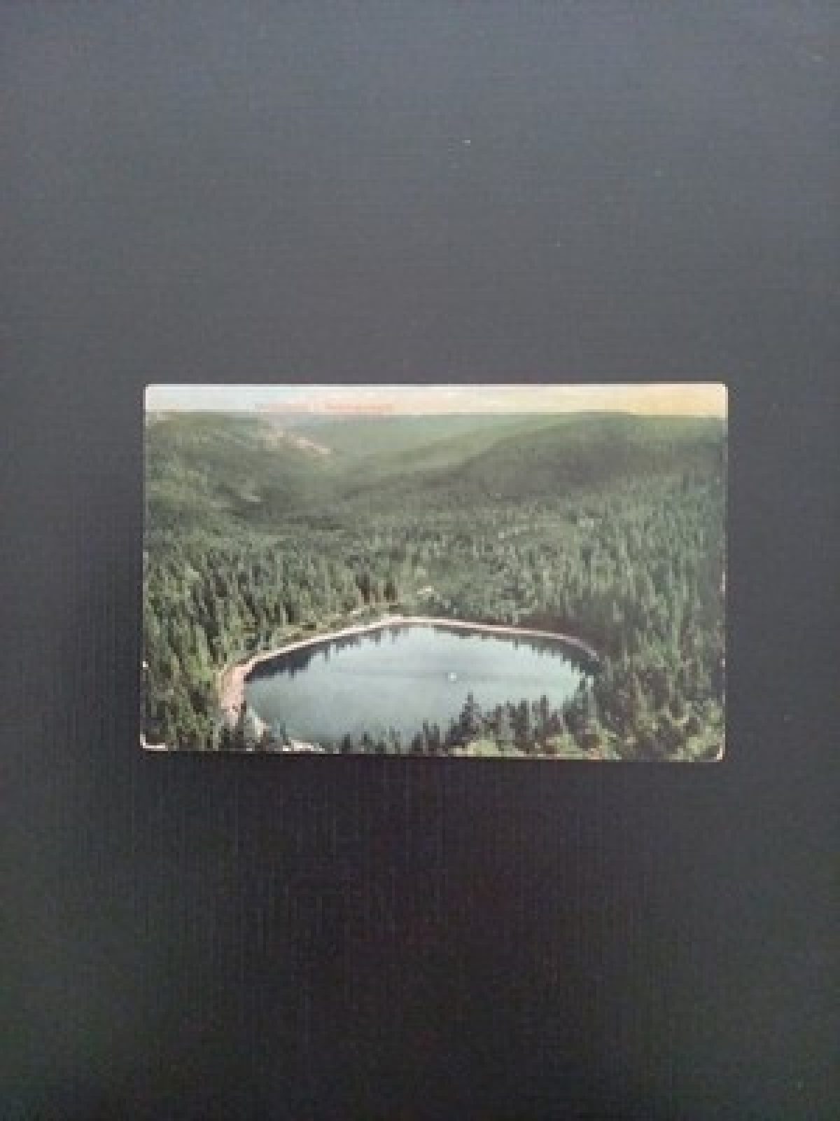 Wildsee Schwarzwald Deutschland 180241 Gr