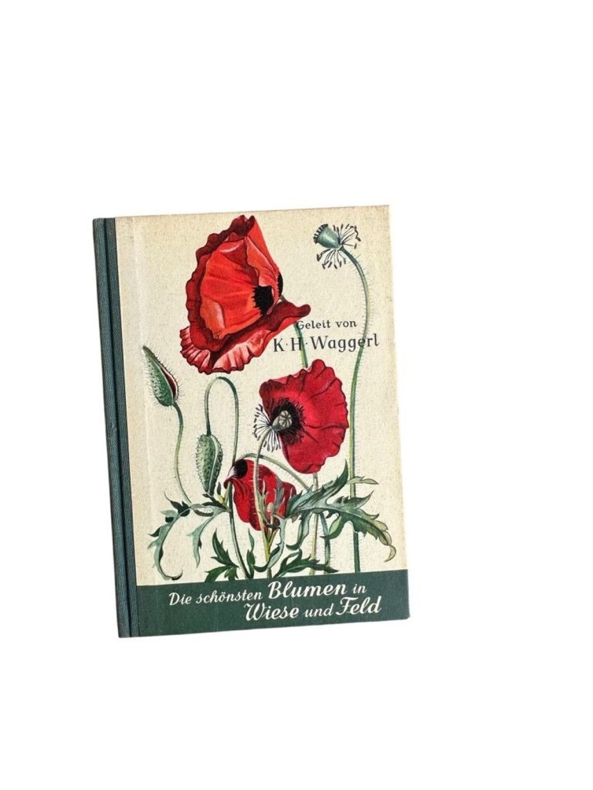 Die schönsten Blumen in Wiese und Feld Geleit von Karl Heinrich Waggerl. Aquarel