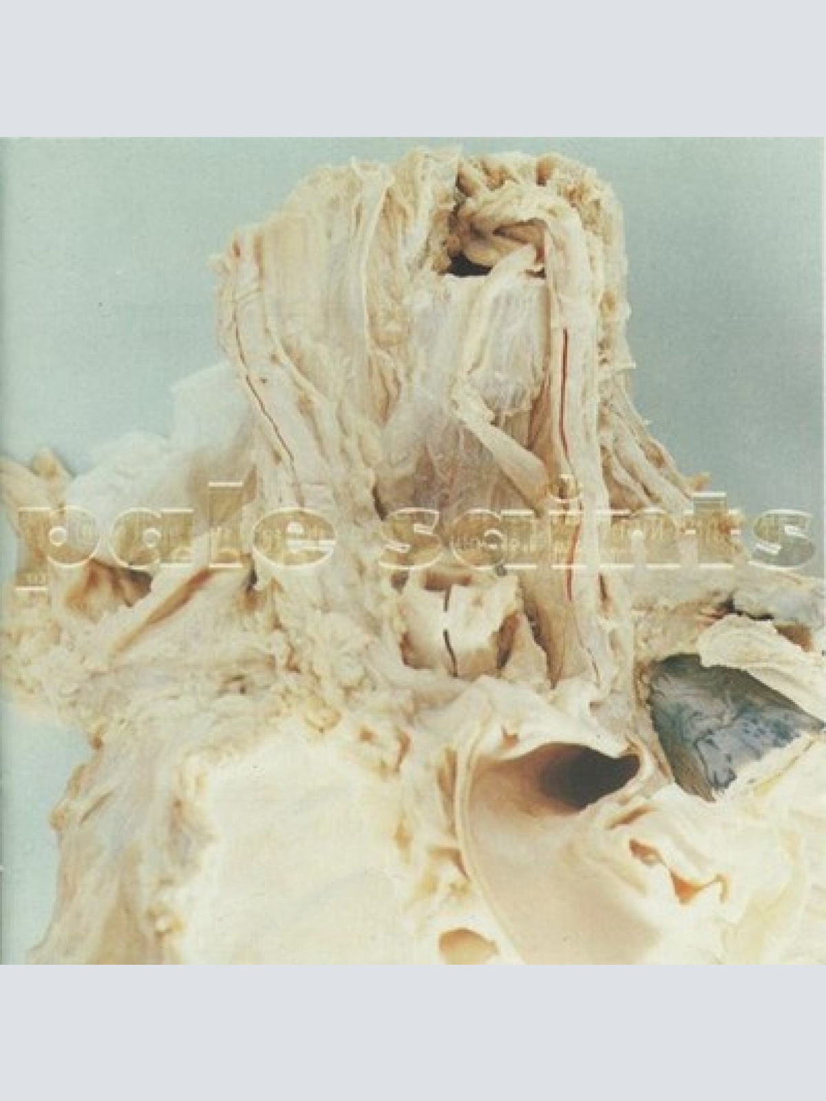 CD, Album Pale Saints - In Ribbons