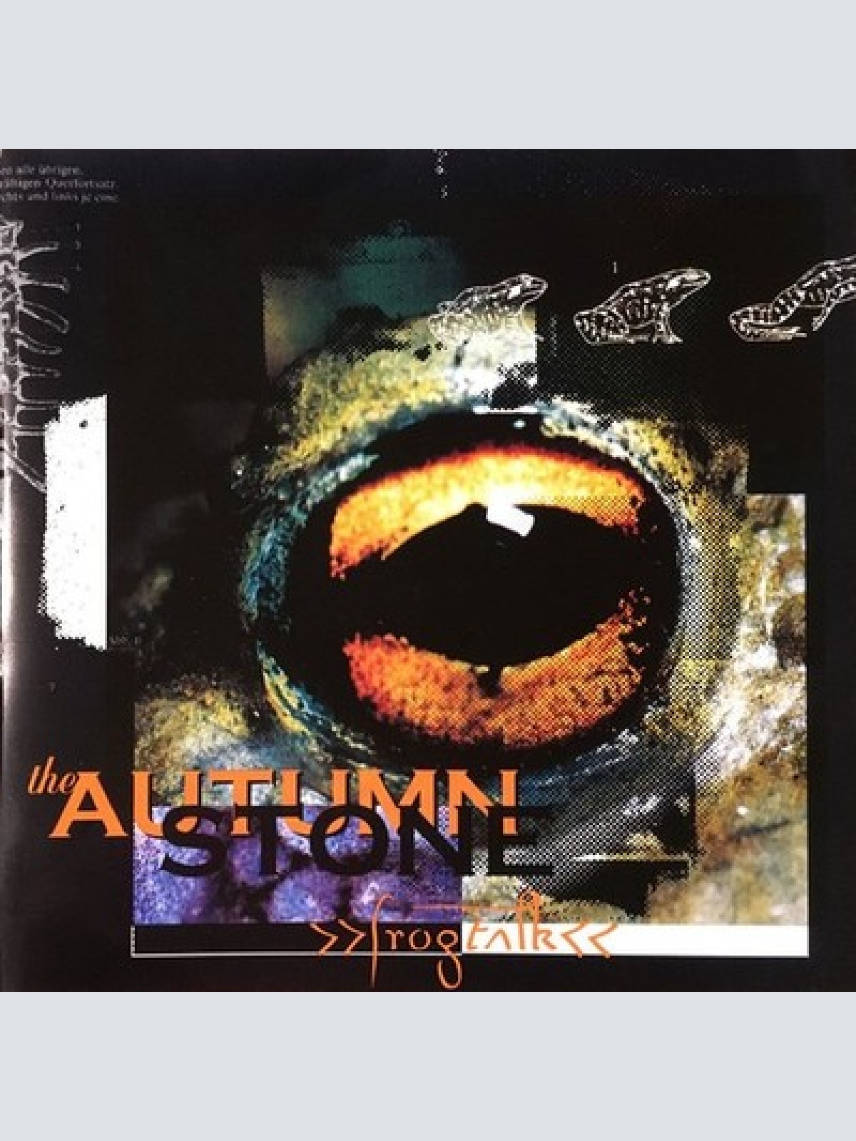 CD The Autumn Stone - Frogtalk