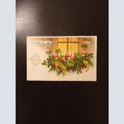 Klee Schwammerl Die Besten Wünsche 42104 Gr