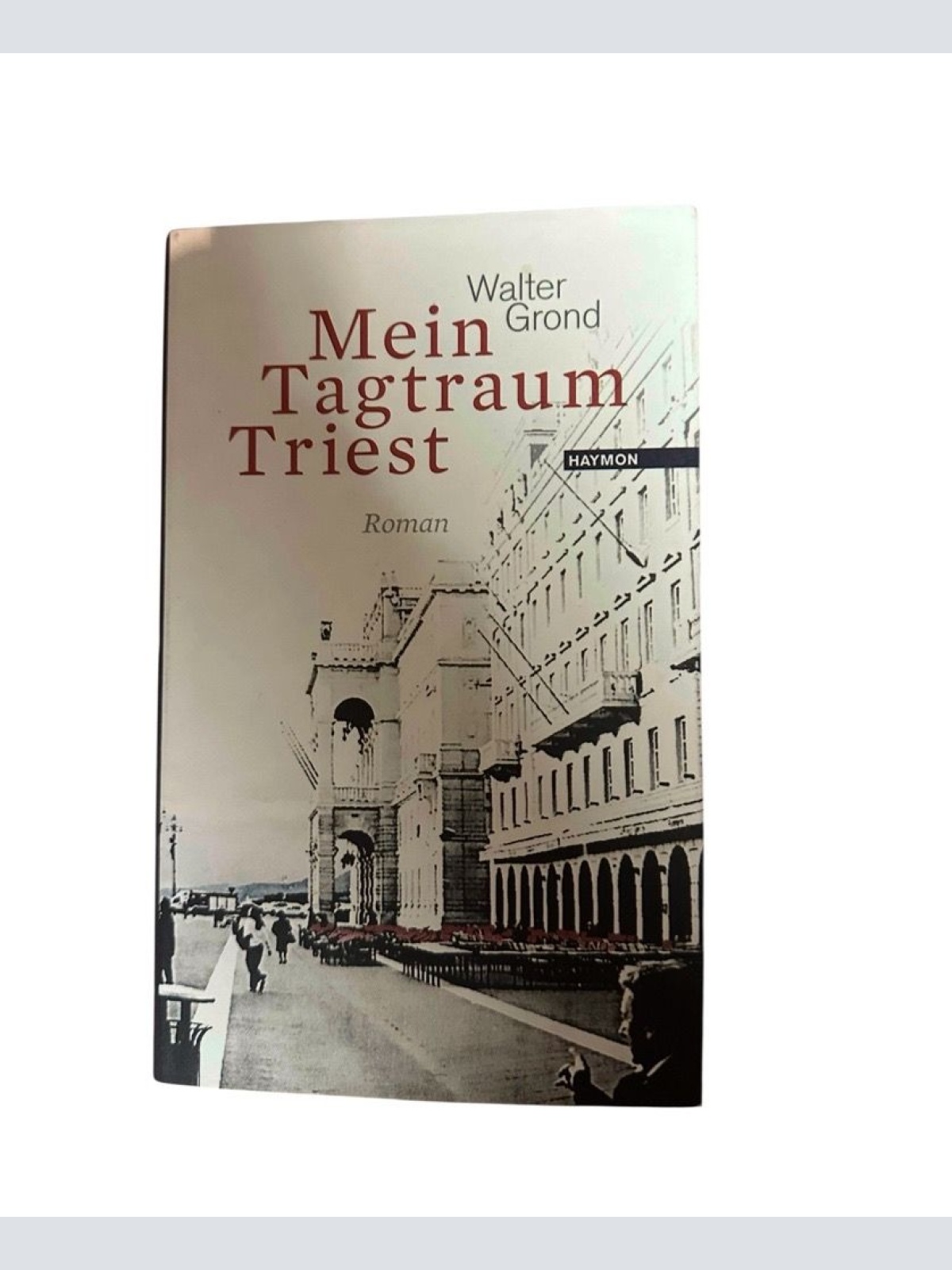Mein Tagtraum Triest. Roman Roman Walter Grond: