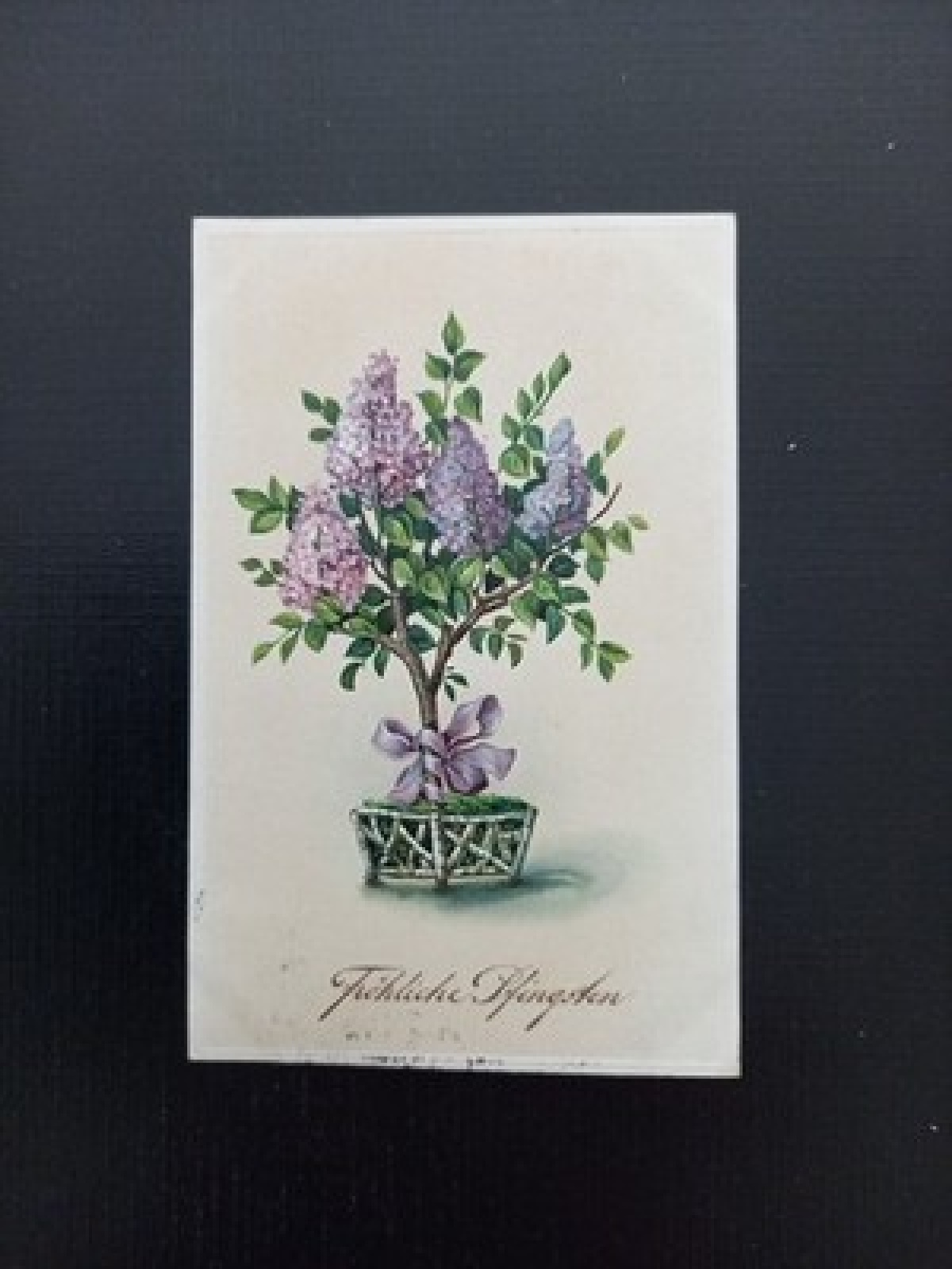 Fröhliche Pfingsten Flieder 40220 Gr