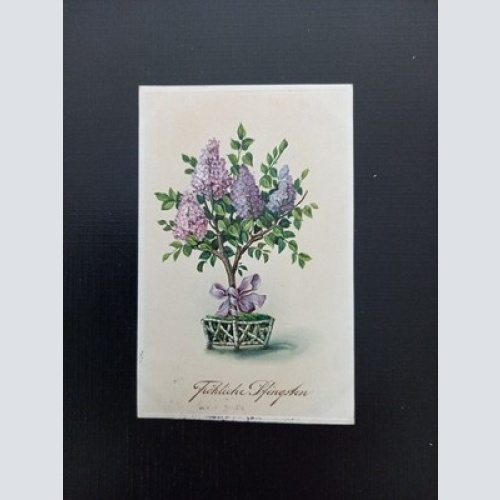 Fröhliche Pfingsten Flieder 40220 Gr