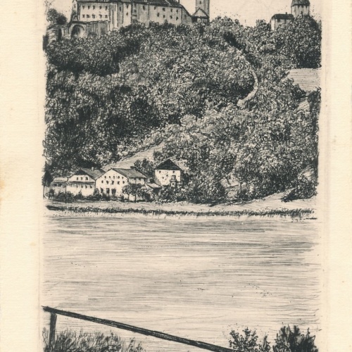 AK aus Neuburg am Inn Oberösterreich Ansichtskarte (18272)