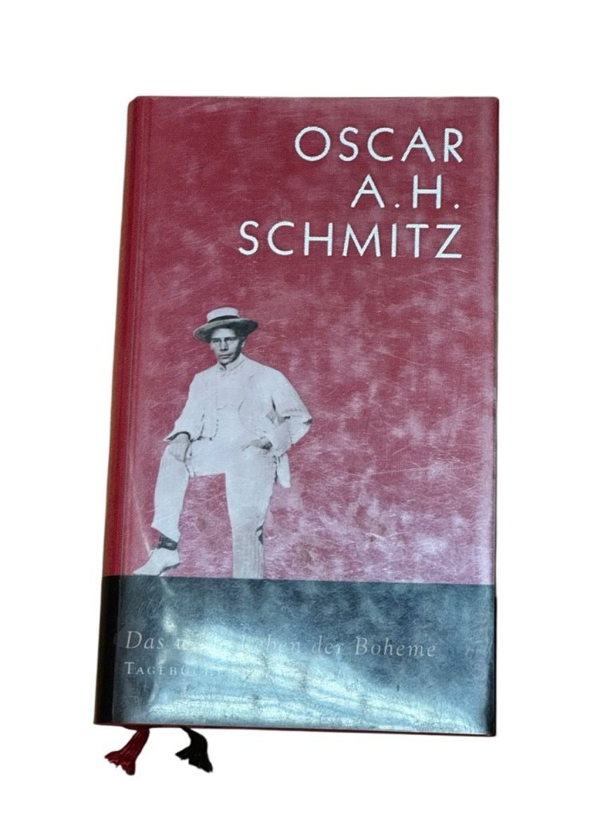 Das wilde Leben der Boheme: Tagebücher 1896-1906, Bd. 1 Bd. 1. Das wilde Leben d