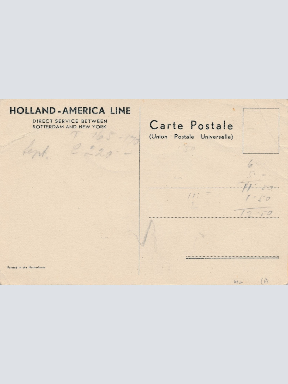 AK aus Holland America Line T.S.S. Nieuw Amsterdam Ansichtskarte (18215)