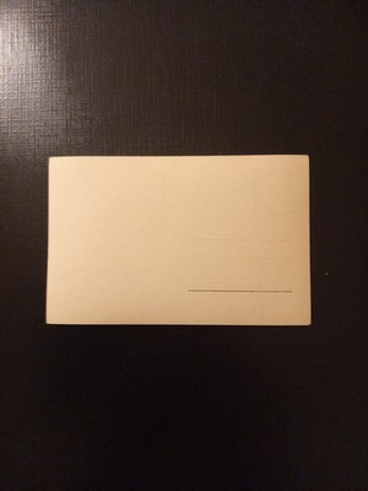 Paula Wessely Porträt Gr