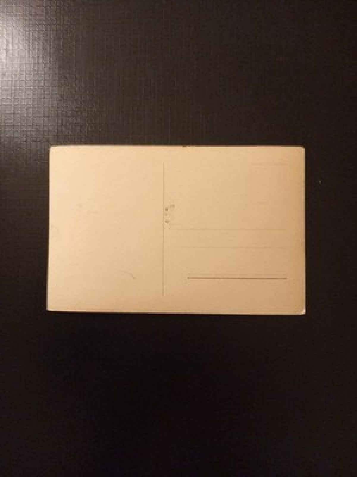 Käthe Von Nagy Porträt Gr