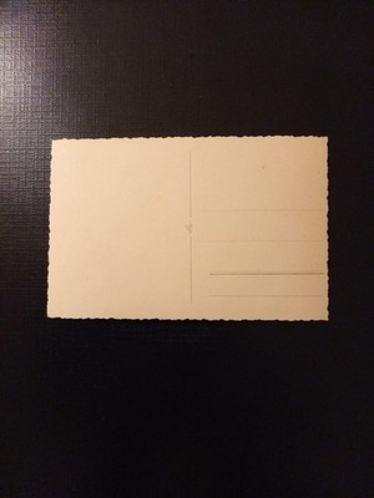 Salzburg Mirabellgarten Festung AB0056 Gr