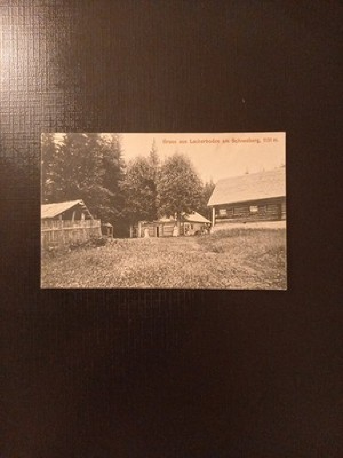 Lackerboden Schneeberg Niederösterreich Gr