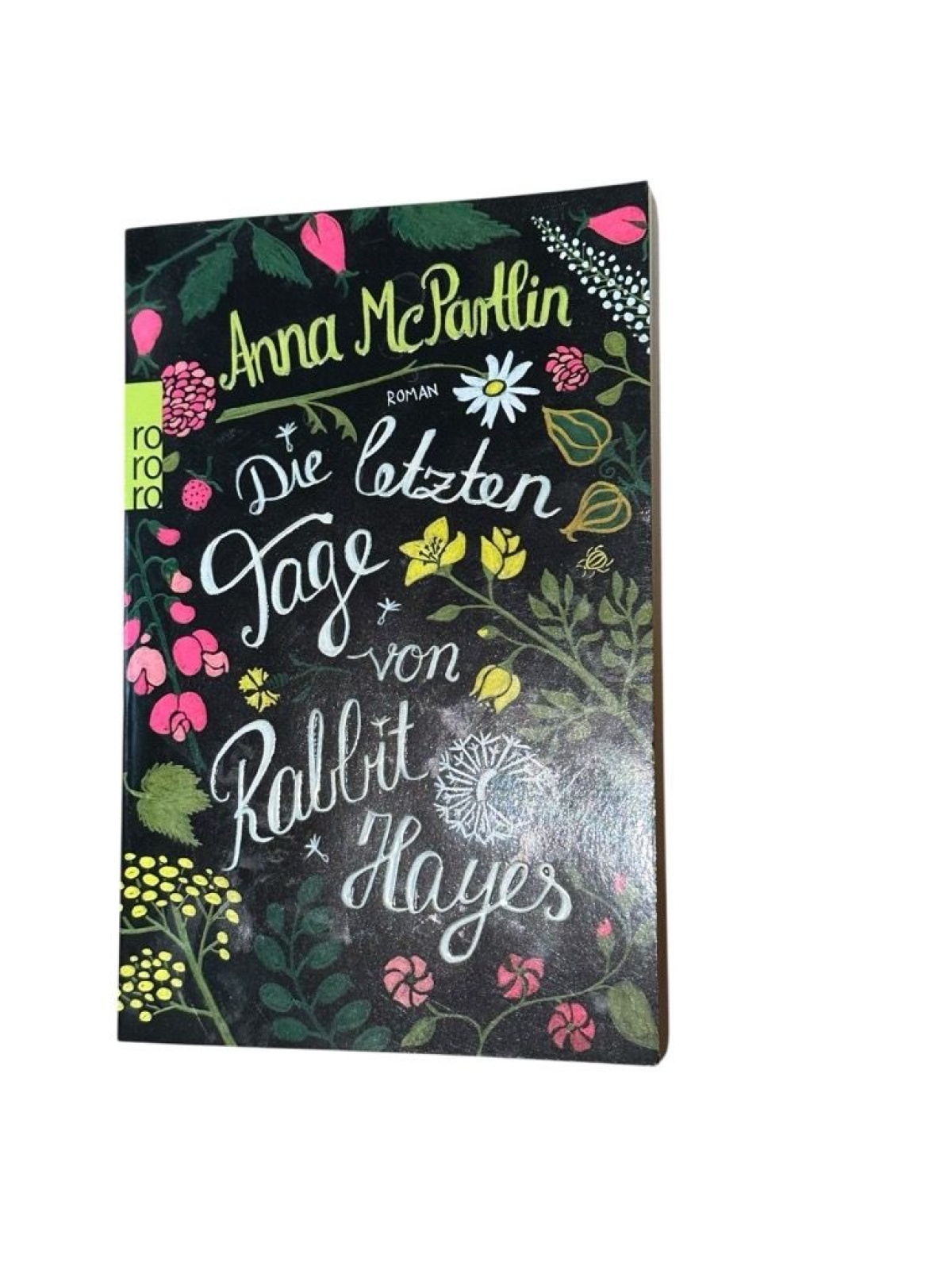 Die letzten Tage von Rabbit Hayes: Roman (Die Rabbit Hayes Romane, Band 1) Roman