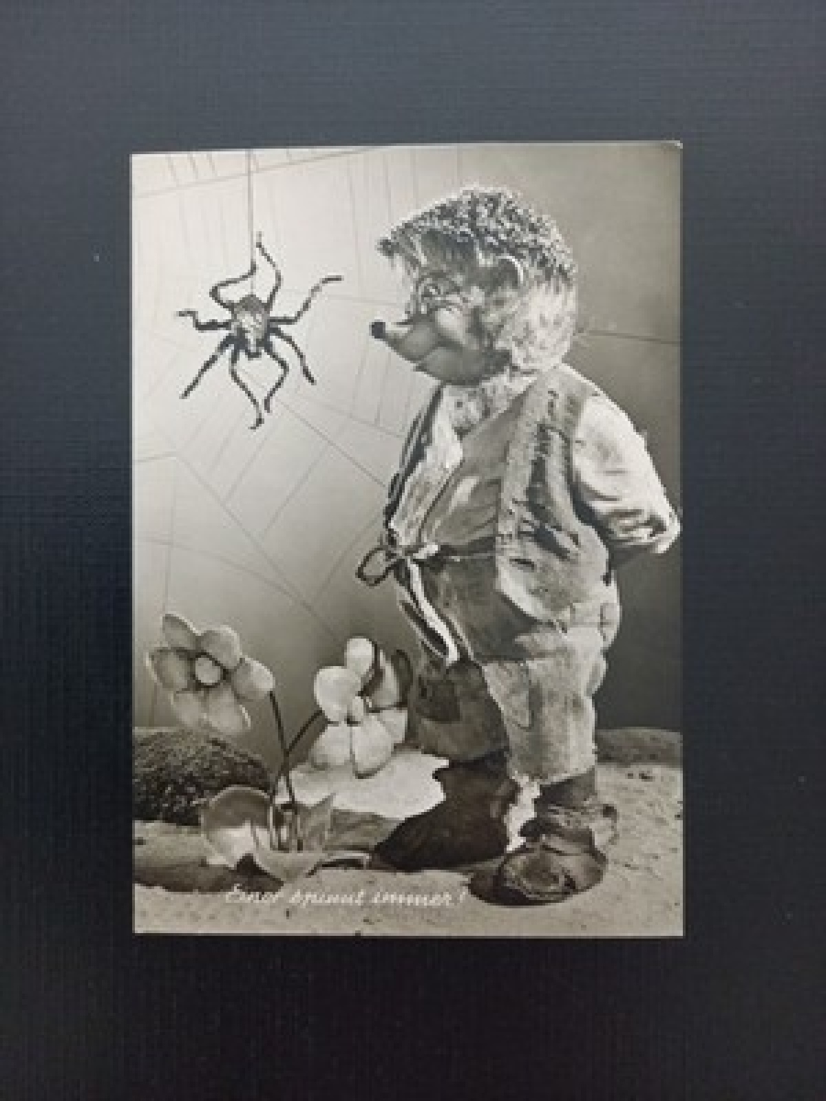 Einer Spinnt Immer Gebrüder Diehl 400612 Gr