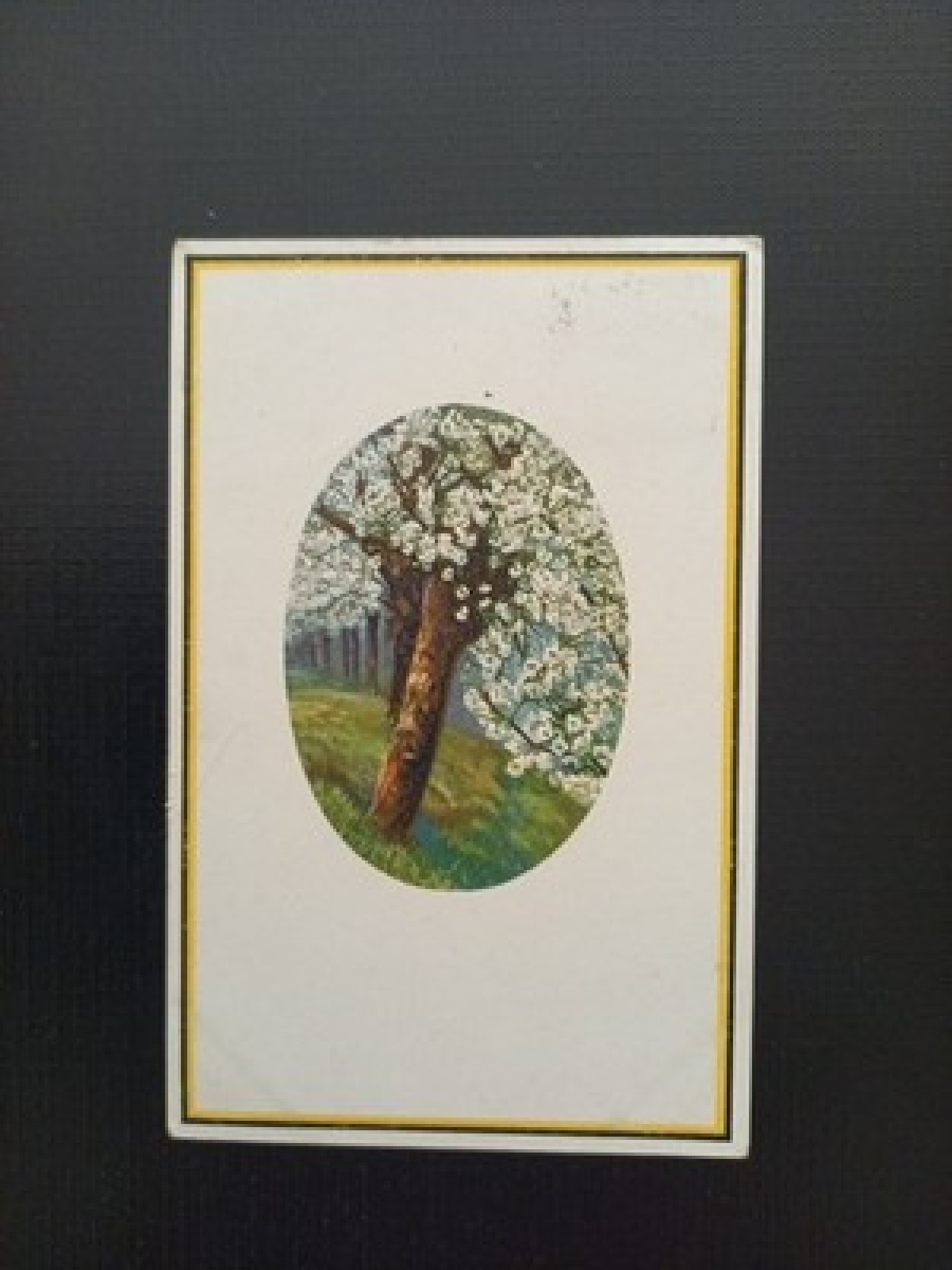 Deutscher Frühling 500126D Gr