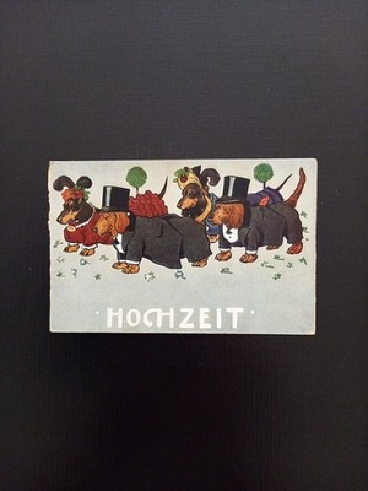 Hochzeit Vier Dackel Gr