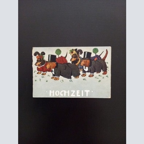 Hochzeit Vier Dackel Gr