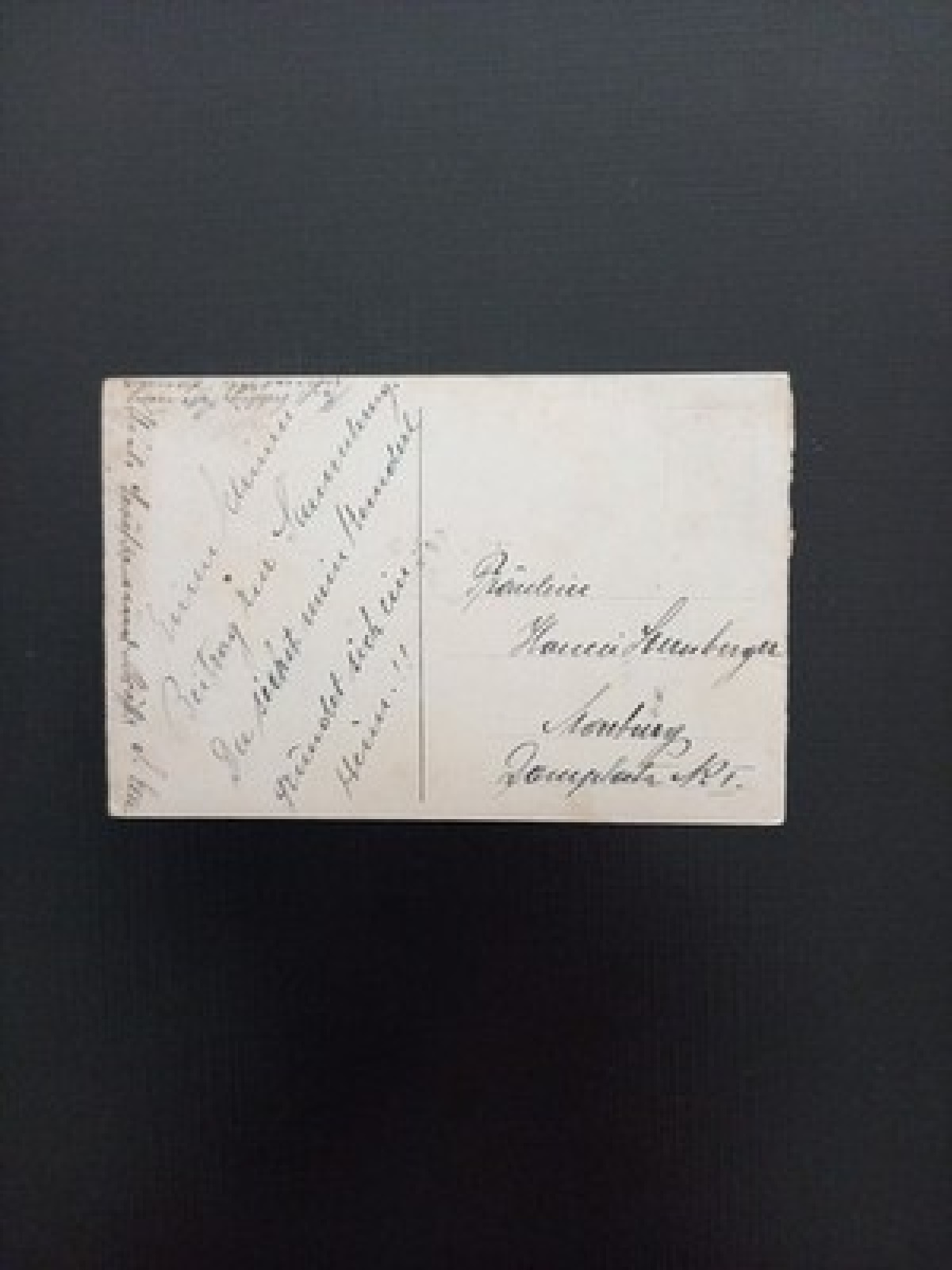 Hochzeit Vier Dackel Gr