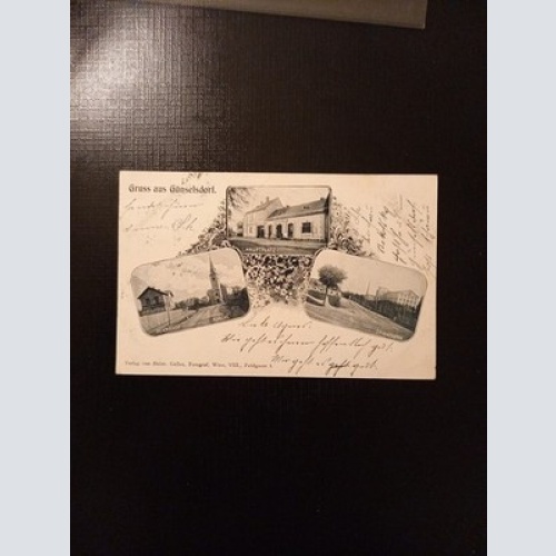 Günselsdorf  Niederösterreich Gr