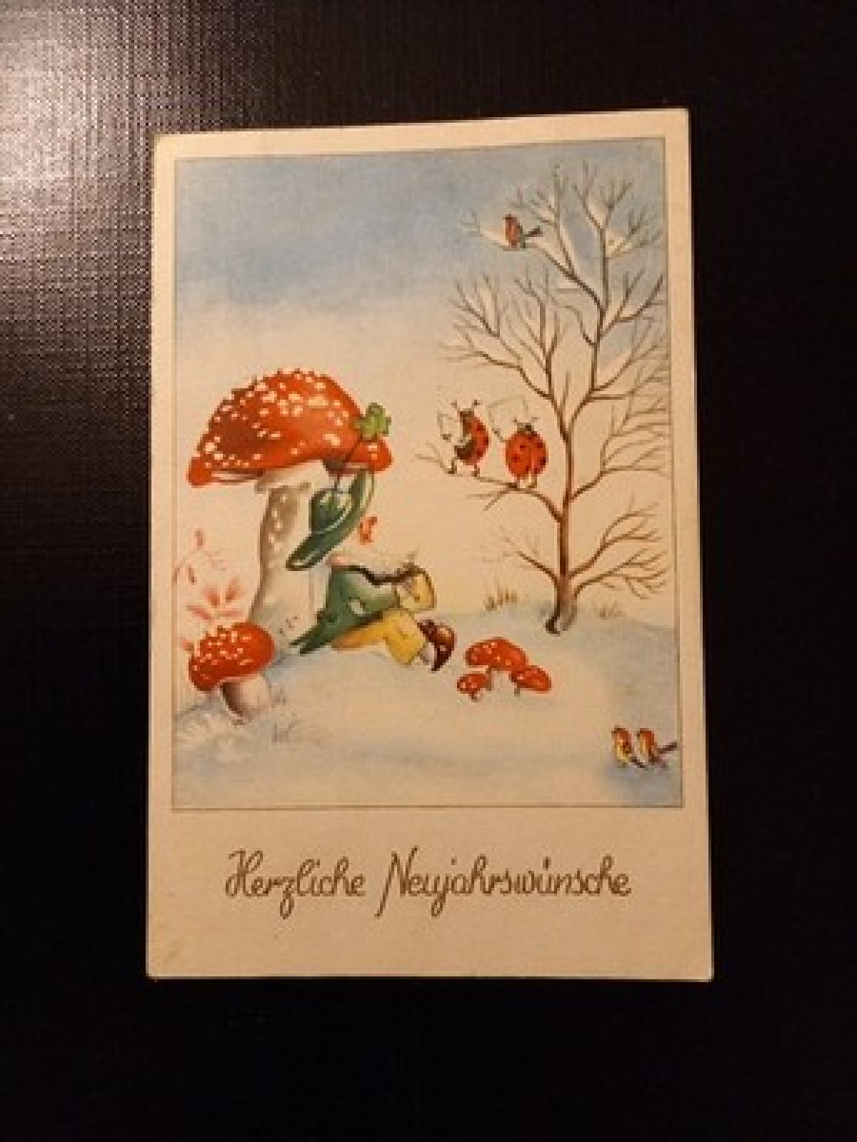 Herzliche Neujahrsgrüße Fliegenpilz Marienkäfer Zwerg Gr