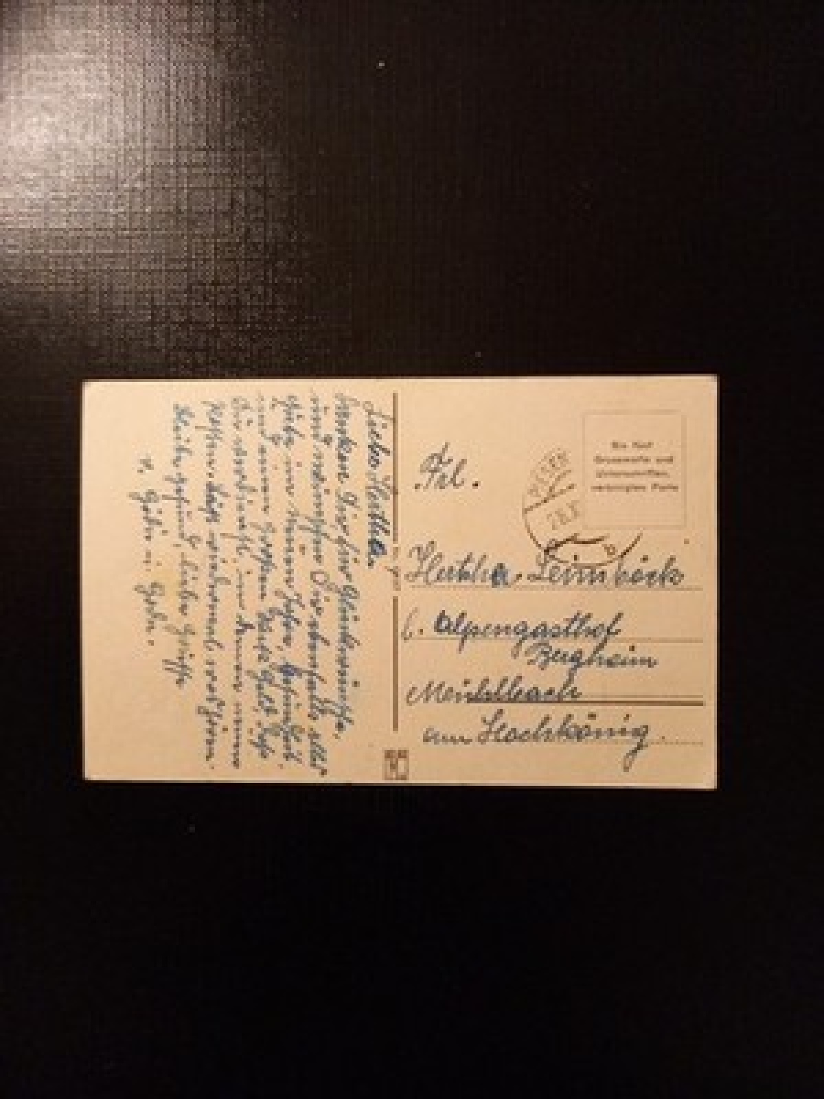 Herzliche Neujahrsgrüße Fliegenpilz Marienkäfer Zwerg Gr