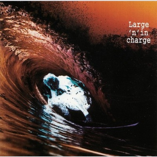 CD, Comp Various - Large 'N' In Charge