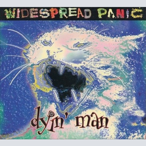 CD, Single, Promo, Dig Widespread Panic - Dyin' Man