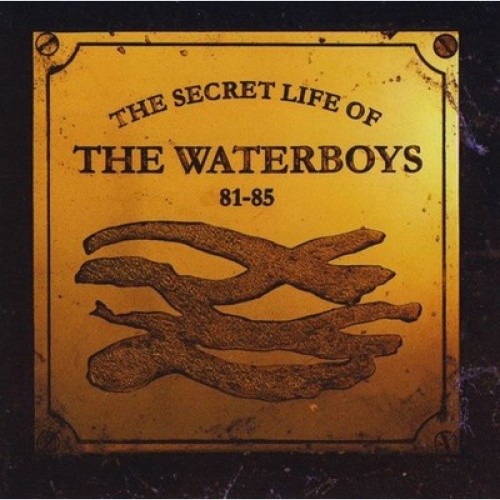 CD The Waterboys - The Secret Life Of The Waterboys 81-85