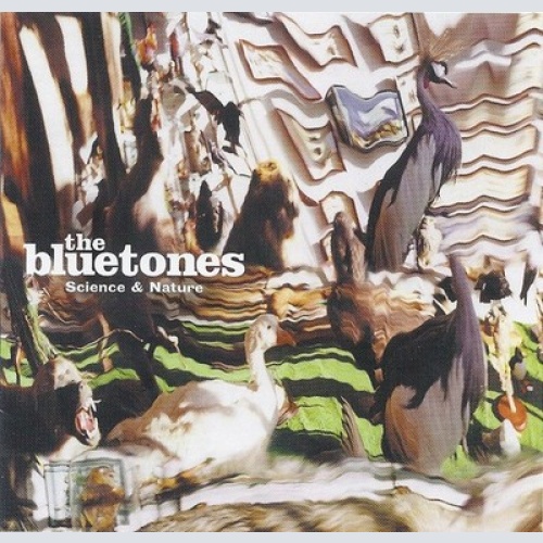 CD, Album The Bluetones - Science And Nature