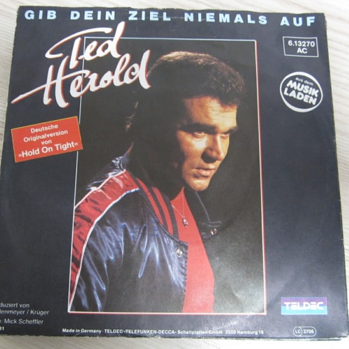 Single /   Ted Herold ?– Gib Dein Ziel Niemals Auf  / DE PRESS / RAR /