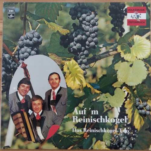 Das Reinischkogel-Trio - Auf 'm Reinischkogel (LP)