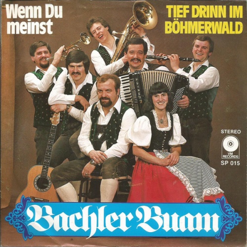 Bachler Buam - Wenn Du Meinst / Tief Drinn Im Böhmerwald (7", Single)
