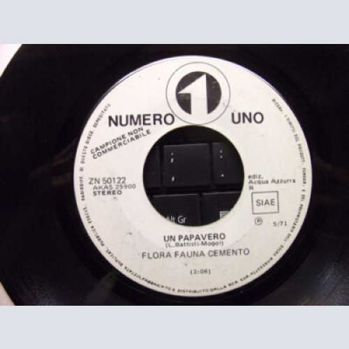 Flora Fauna Cemento* - Un Papavero (7", Promo)