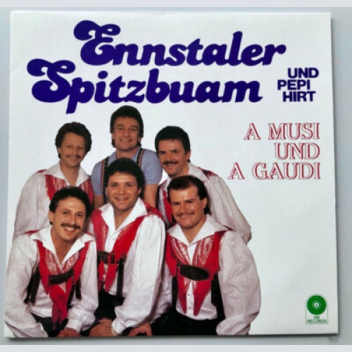 Ennstaler Spitzbuam* Und Pepi Hirt - A Musi Und A Gaudi (LP, Album)