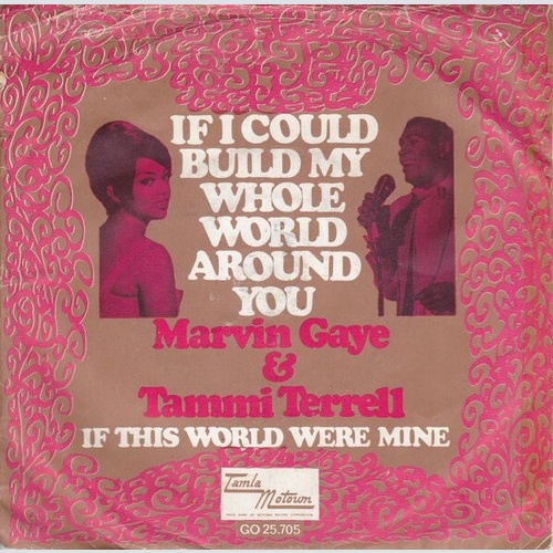 Marvin Gaye & Tammi Terrell - If I Could Build My Whole World Around You (7",...