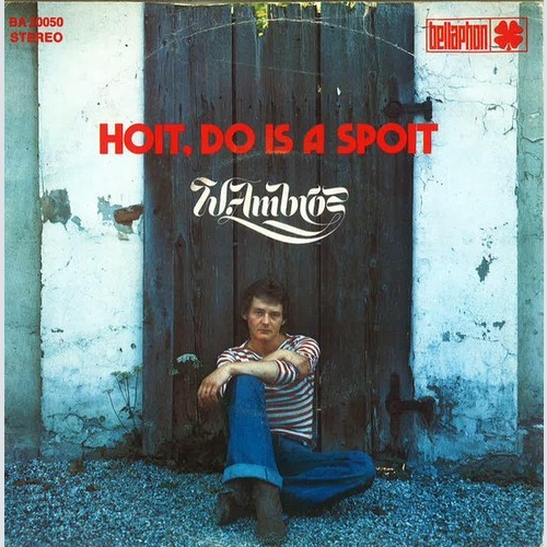 W. Ambros* - Hoit, Do Is A Spoit (7", Single)