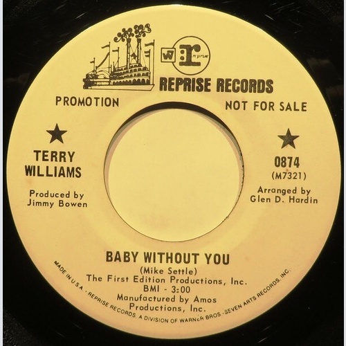 Terry Williams -  Baby Without You (7", Promo)